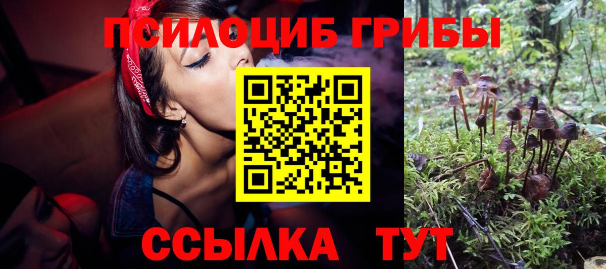 Псилоцибиновые грибы GOLDEN TEACHER Омск